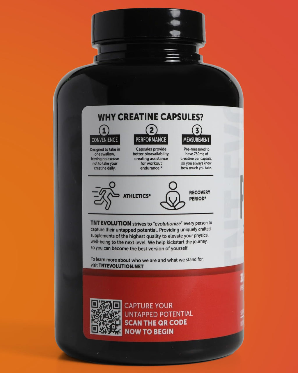 Creatine Monohydrate Capsules 750mg 240 Count Gluten Free V54430