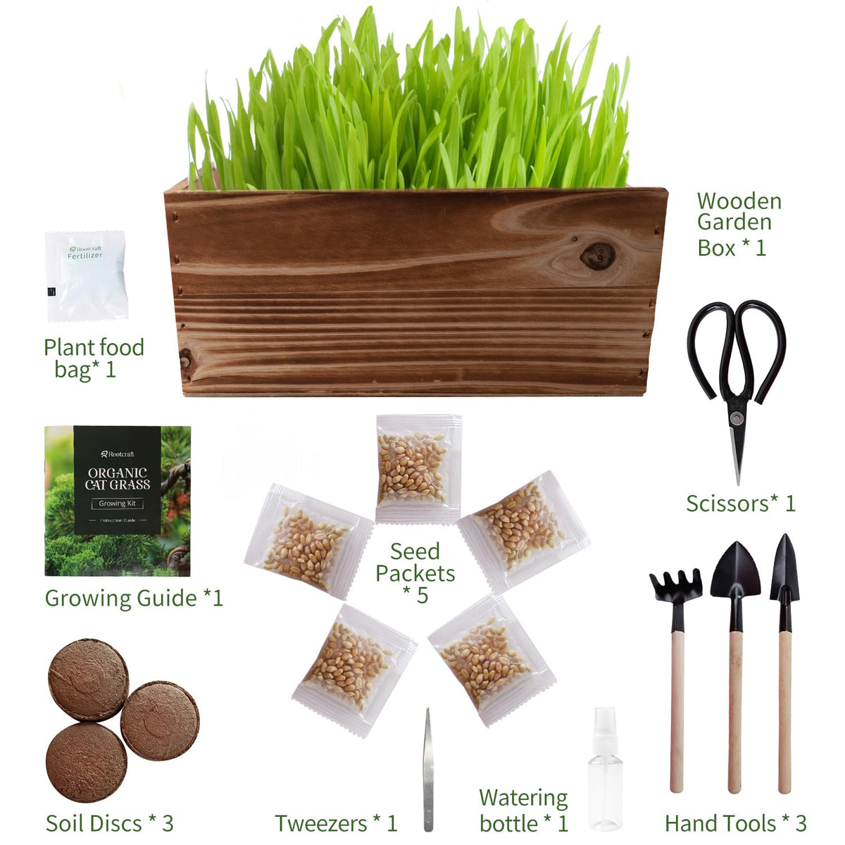 5-Pack Cat Grass Kit with Wood Planter G969529