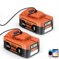20V Lithium Battery with LCD Display C2813